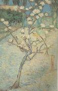 Vincent Van Gogh Blossoming Pear Tree (nn04) Germany oil painting reproduction